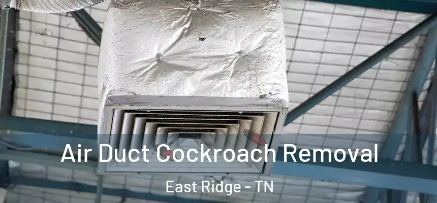  Air Duct Cockroach Removal East Ridge - TN