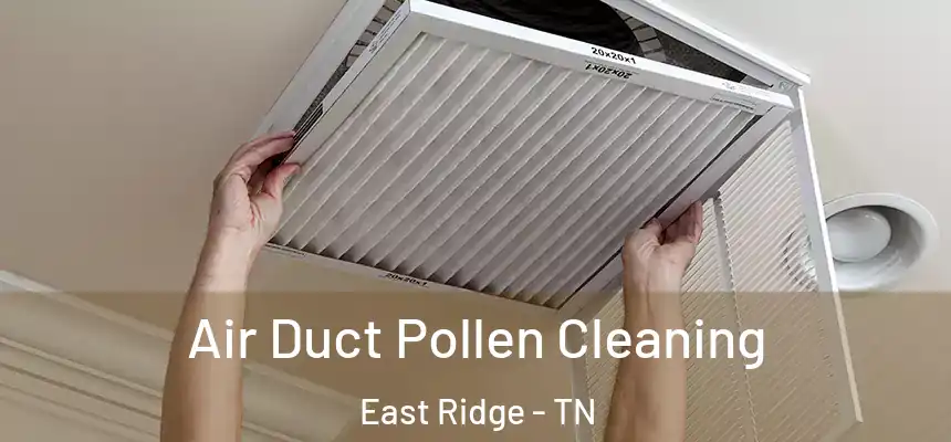  Air Duct Pollen Cleaning East Ridge - TN