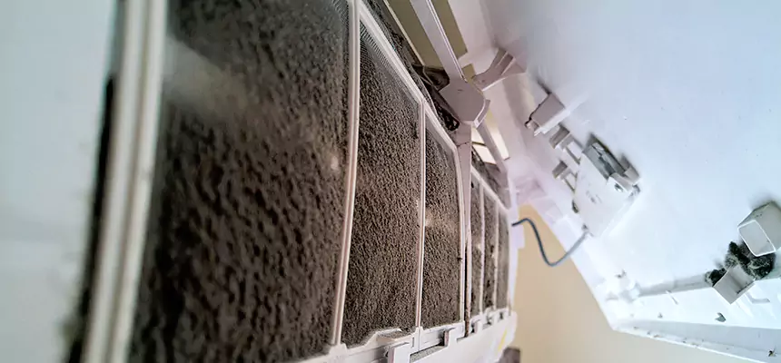 Preventive Air Duct Bacteria Removal in East Ridge