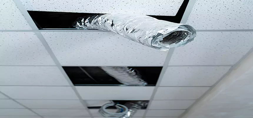 Affordable HVAC Sanitizing After Pest Removal in East Ridge