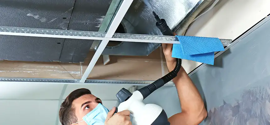 Our Air Duct Rodent Removal Services in East Ridge, TN