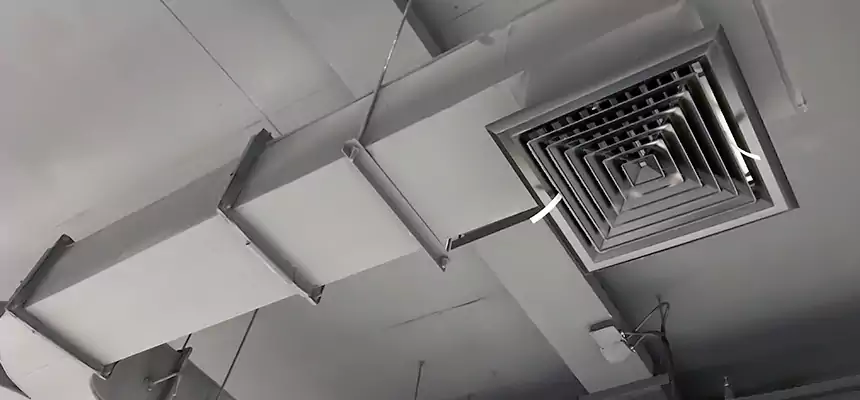 Restorative Allergy Relief Vent Cleaning – Coil, Blower & Housing Detail in East Ridge