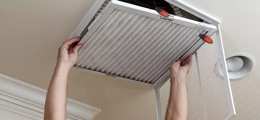 Our Insect Removal from Air Ducts Services in East Ridge, TN
