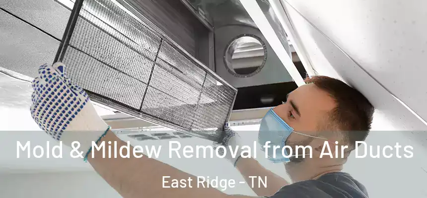  Mold & Mildew Removal from Air Ducts East Ridge - TN