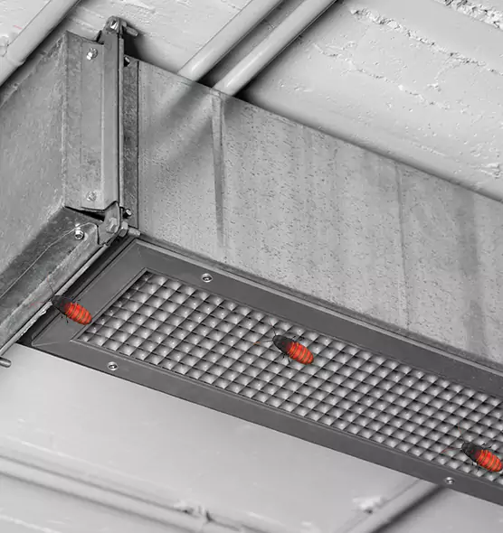 About Air Duct Cockroach Removal in East Ridge, TN