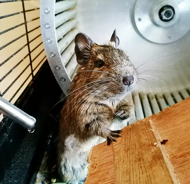 Why Homeowners & Businesses Trust Us East Ridge, TN?