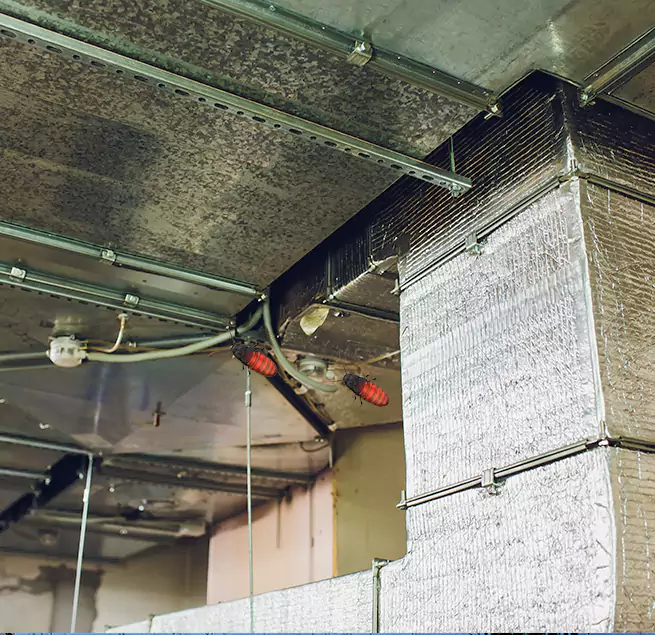 Why Homeowners & Businesses Trust Us East Ridge, TN?